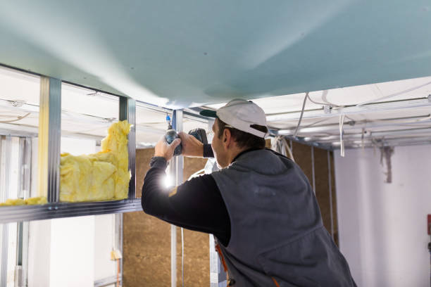 Best Insulation for Specific Applications in Lakeside, CA