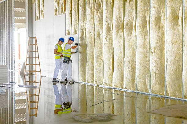 Best Commercial Insulation in Lakeside, CA